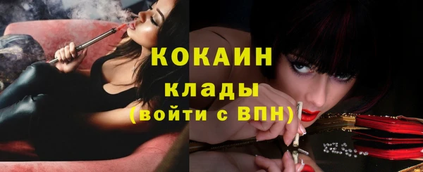 каннабис Богданович