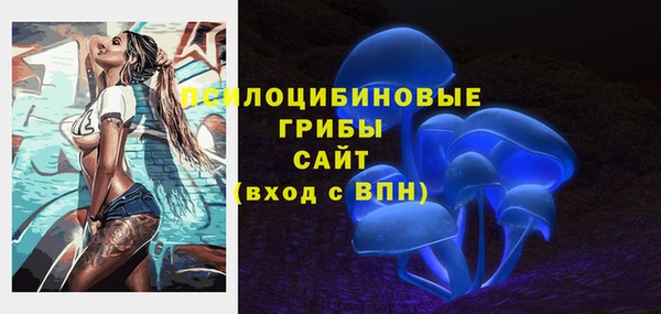 jwh Богородск