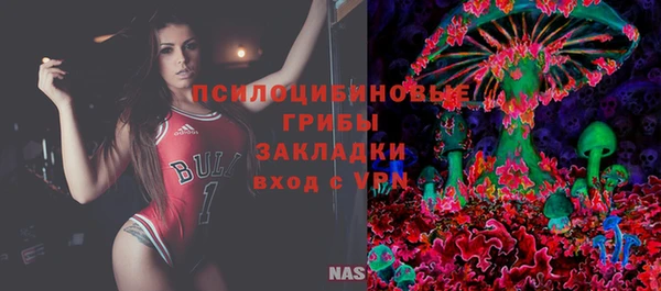 эйфоретик Богородицк