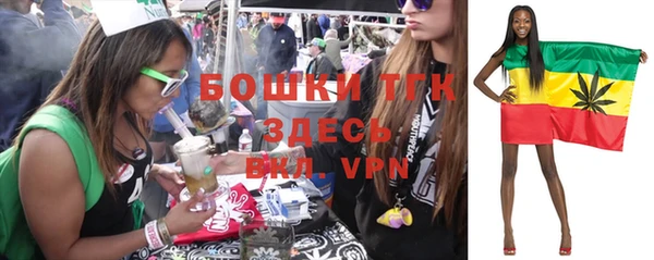 МДМА Бородино