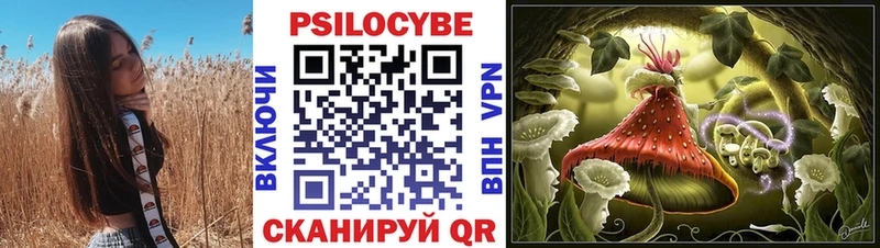 kraken зеркало  Кировград  Псилоцибиновые грибы Cubensis 